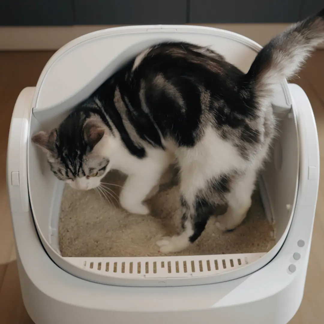 Petpivot Autoscooper 11 Open-Top Automatic Self-Cleaning Cat Litter Box with Bonus 60 Waste Bags (80 Total) - Limited-Time Offer Until July 2