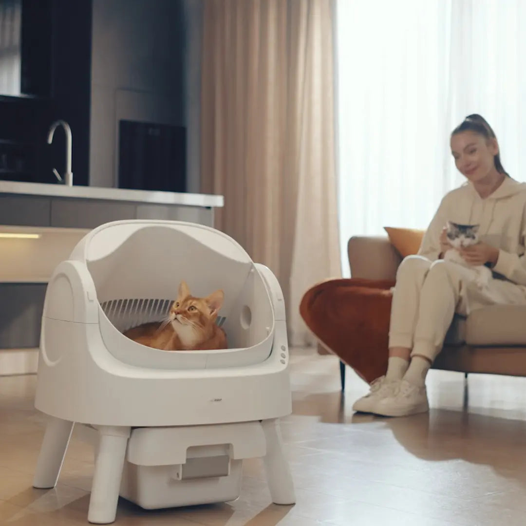 Petpivot Autoscooper 11 Open-Top Automatic Self-Cleaning Cat Litter Box with Bonus 60 Waste Bags (80 Total) - Limited-Time Offer Until July 2