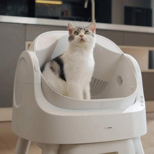 Petpivot Autoscooper 11 Open-Top Automatic Self-Cleaning Cat Litter Box with Bonus 60 Waste Bags (80 Total) - Limited-Time Offer Until July 2