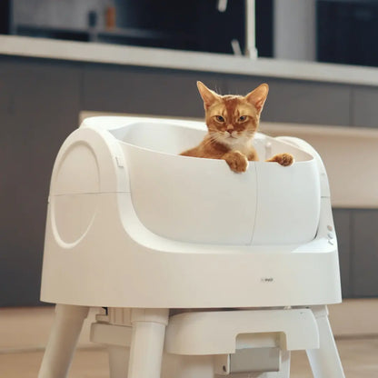 Petpivot Autoscooper 11 Open-Top Automatic Self-Cleaning Cat Litter Box with Bonus 60 Waste Bags (80 Total) - Limited-Time Offer Until July 2
